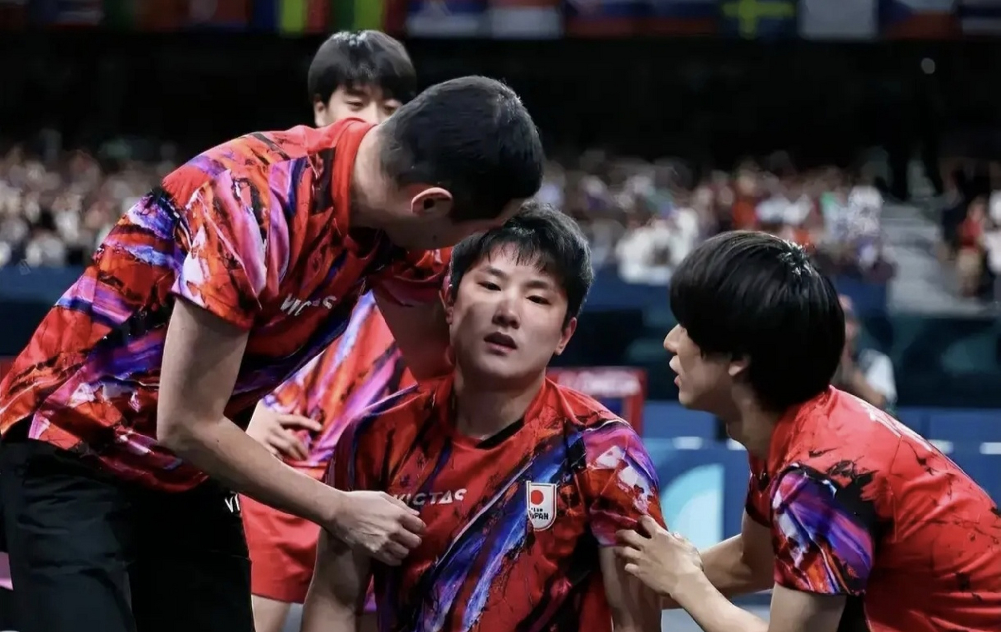 爱游戏下载-奥地利队鏖战德国队，张本智和状态火热