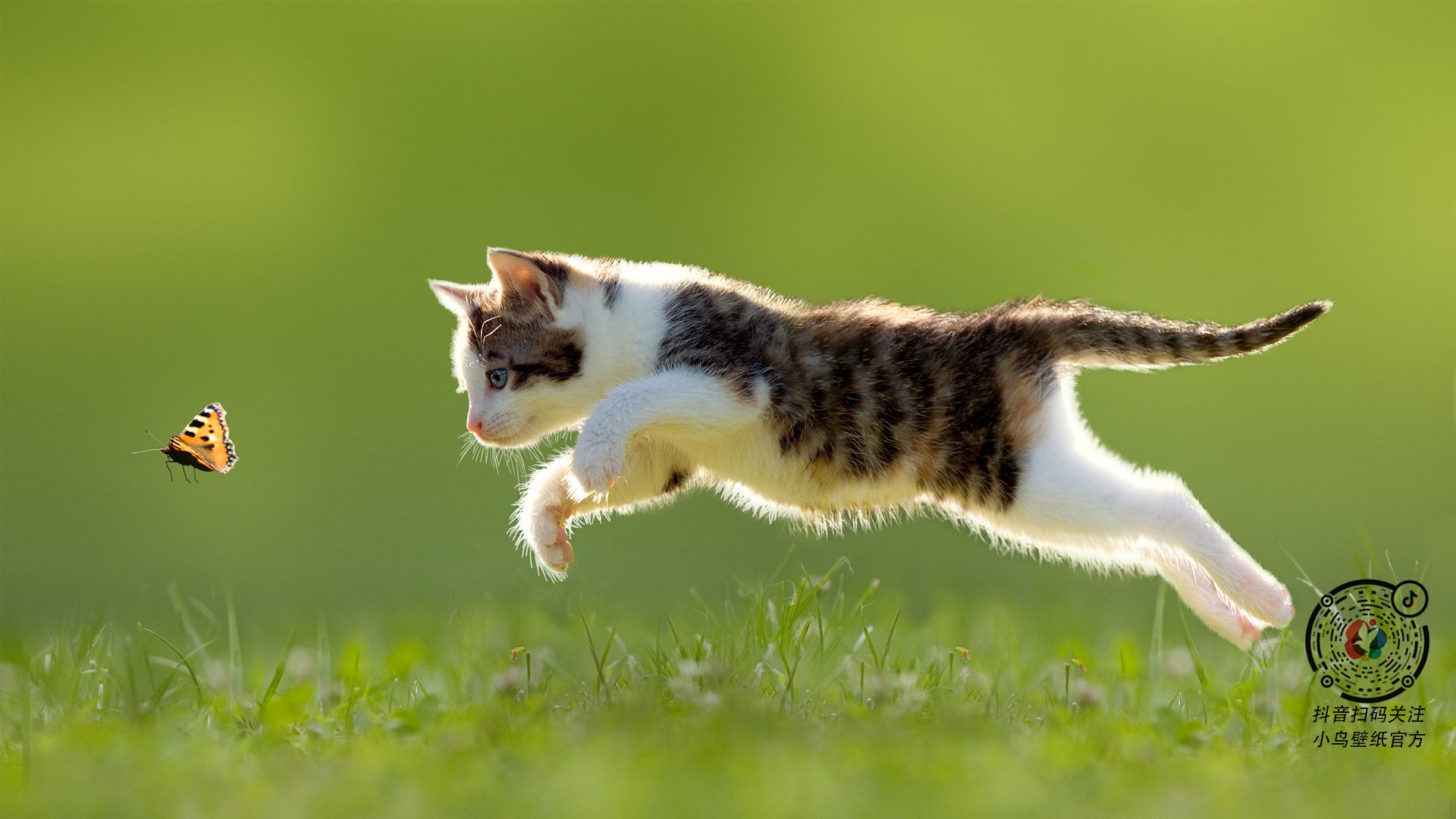 爱游戏大厅-不是里昂轻取切尔西，而是加维一人碾碎了蓝军的傲慢