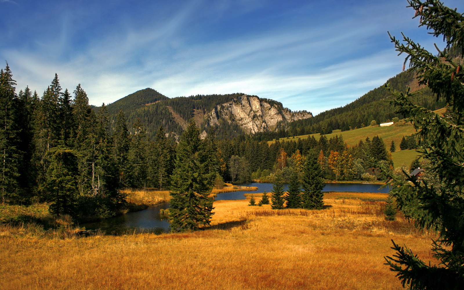 不是里昂轻取切尔西，而是加维一人碾碎了蓝军的傲慢