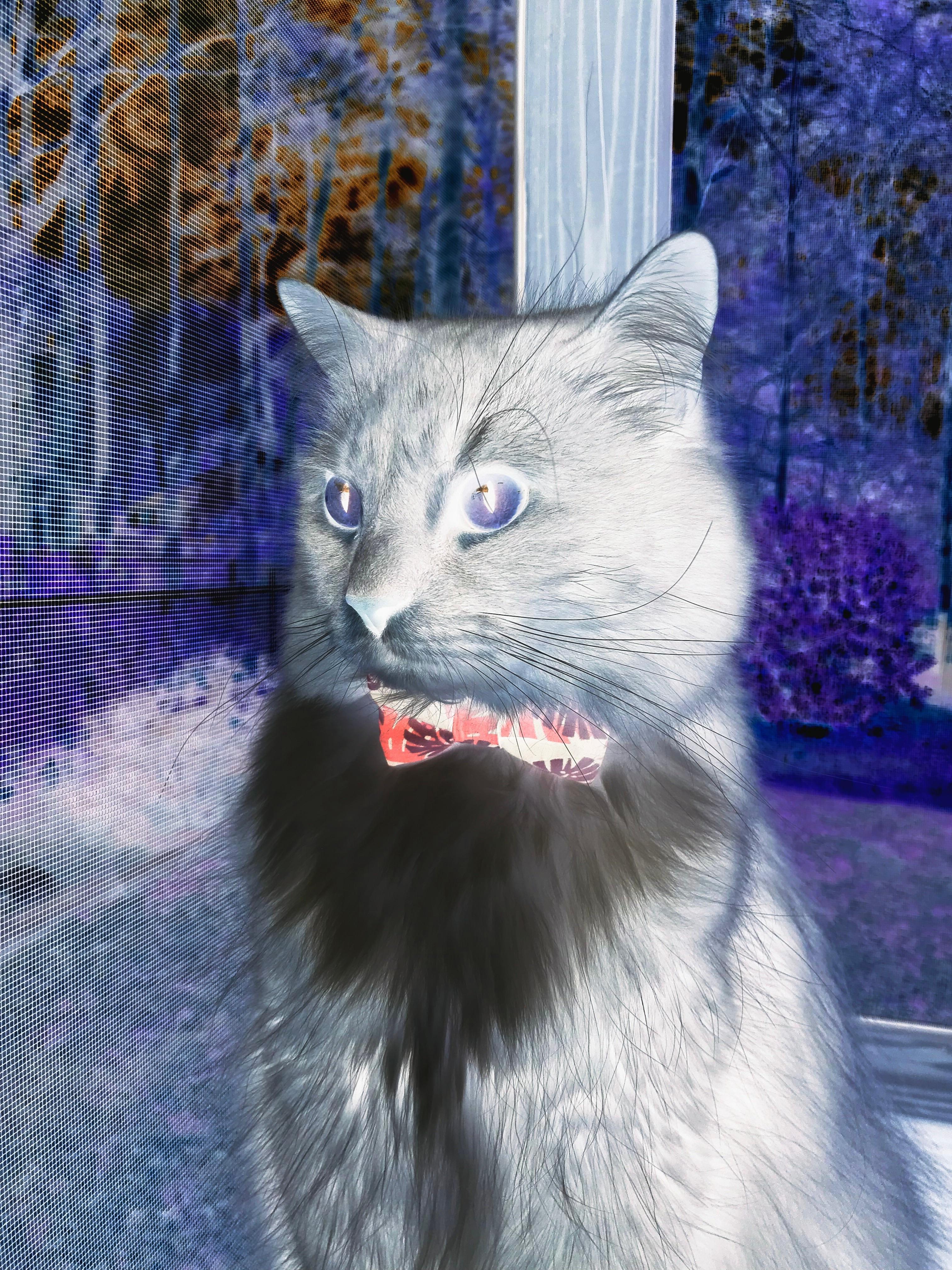 冰与火之歌，拉塞尔的冷静统治与威廉姆斯的绝杀艺术