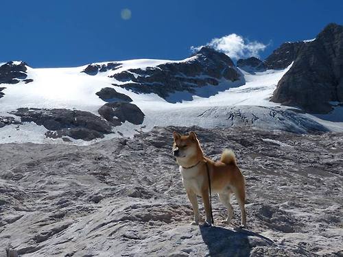 引擎咆哮时，王朝的余晖与巨星的火焰