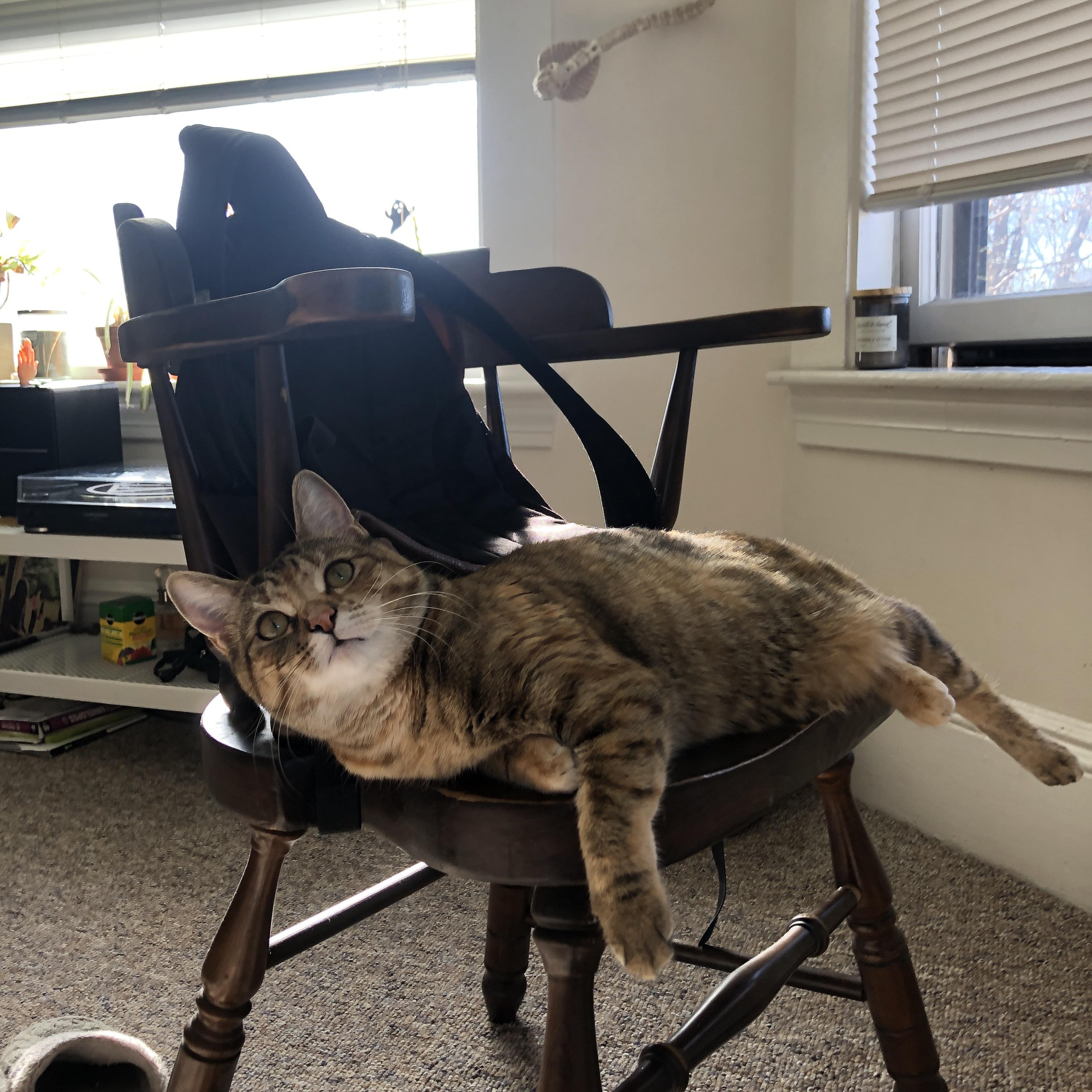 爱游戏官方入口-‘天堑’的通途，杰伦·格林攻防统治力诠释勇士胜热火真谛