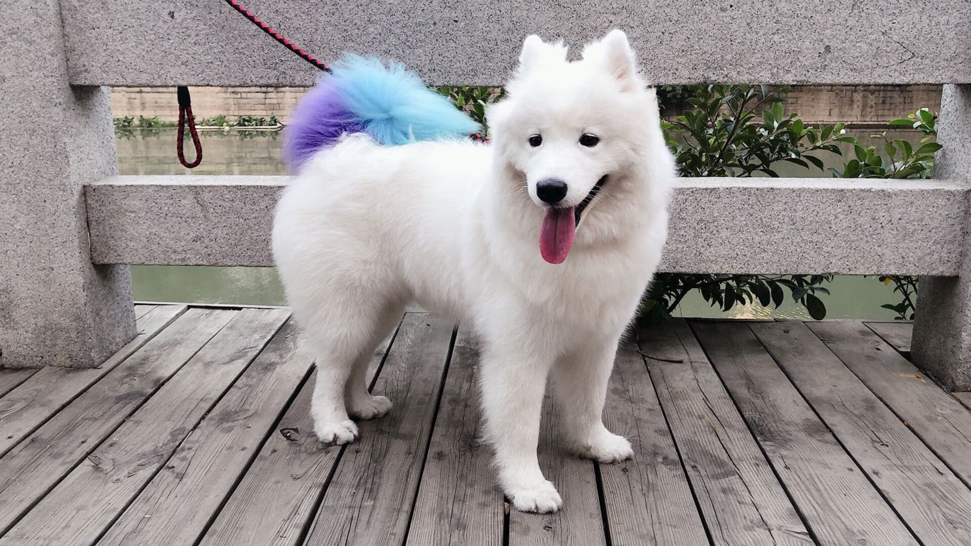 钢索上的舞者，发条中的心脏，马里防守锁死沙特，京多安成关键先生