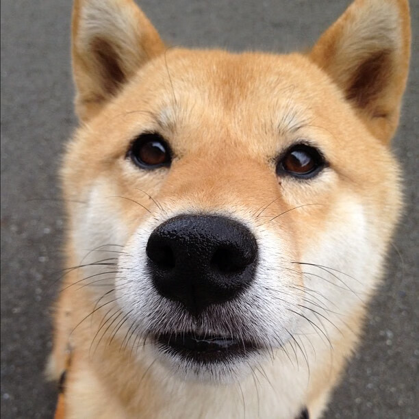 爱游戏在线-那道无解的方程式，当那不勒斯的布鲁诺成为尤文的永恒梦魇