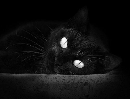 当季后赛变成绿茵场,NBA的拜仁式打穿战术如何撕裂对手防线