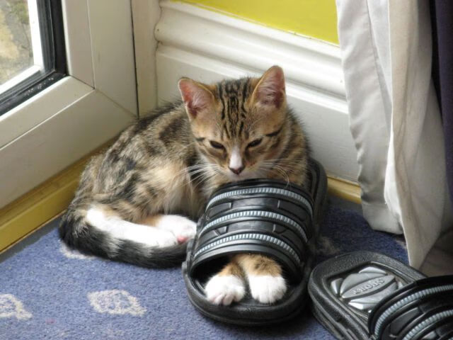 王者弯道，F1街道赛焦点战中，山西队如何提前终结悬念？