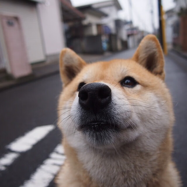 苏格兰之夜与伦敦之光，当唯一性在绿茵场上同时降临