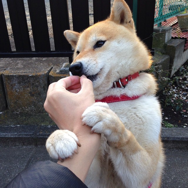 德甲争冠战之夜,一个传说如何诞生,德布劳内的孤注一掷