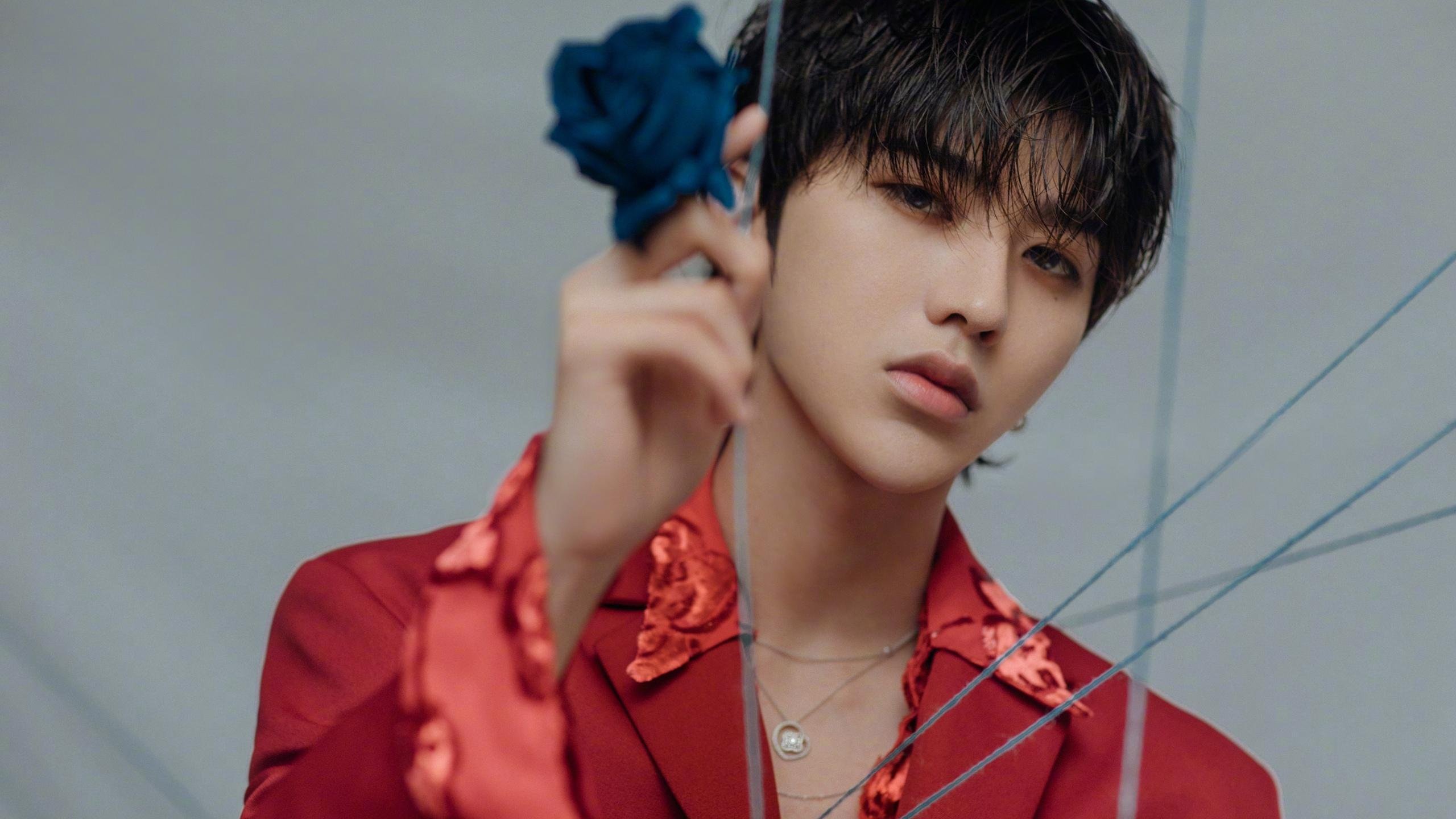 绿茵幻影,当帕尔默成为阿尔及利亚无解之谜