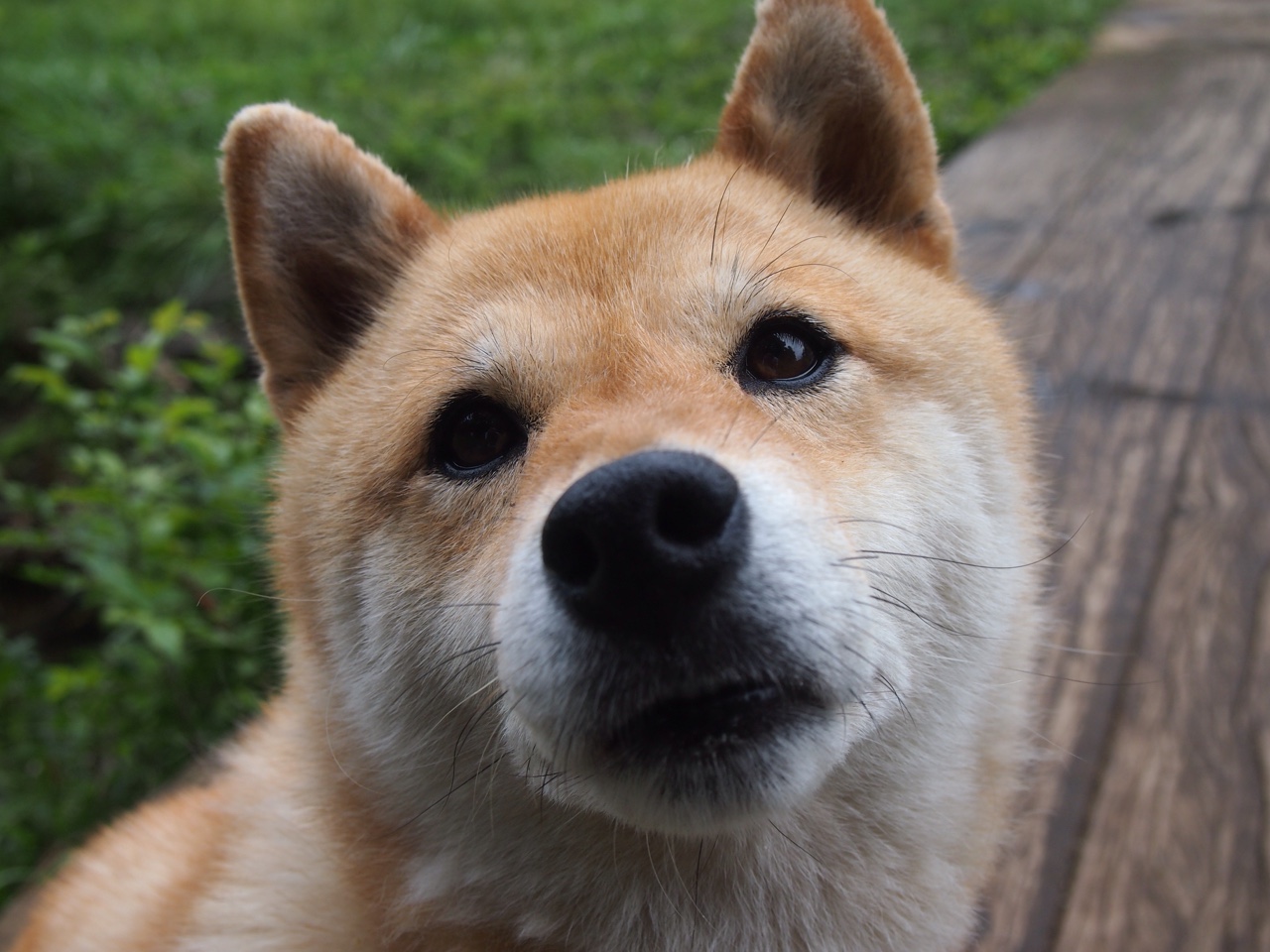 沉默利刃，当德罗赞的防守绞索，遇上火箭与老鹰的古典对决