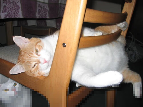 永恒之城见证铁血防线—罗马轻取德国之战,阿坎吉加冕关键先生