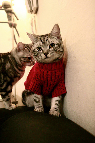 巴林赛道·终场哨音,当红色尾灯成为伦纳德的剪影