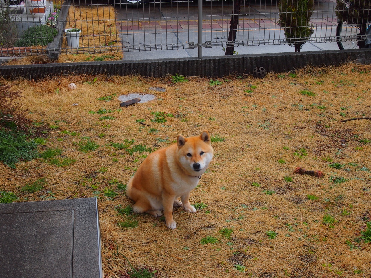 当手术刀遇上叹息之墙，托尼·克罗斯将葡萄牙钉在战术解剖台上