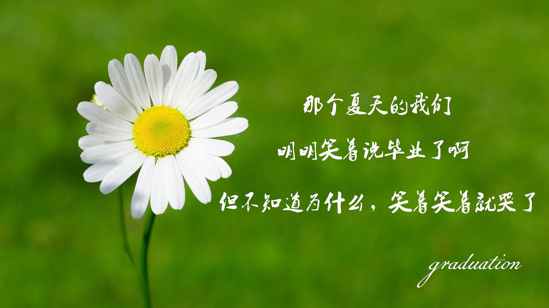 爱游戏tv-这是一篇为您定制的文章，围绕唯一性展开，将世界杯争冠战、墨西哥对阵韩国与萨内发挥关键作用这三个看似矛盾的元素融合在一起