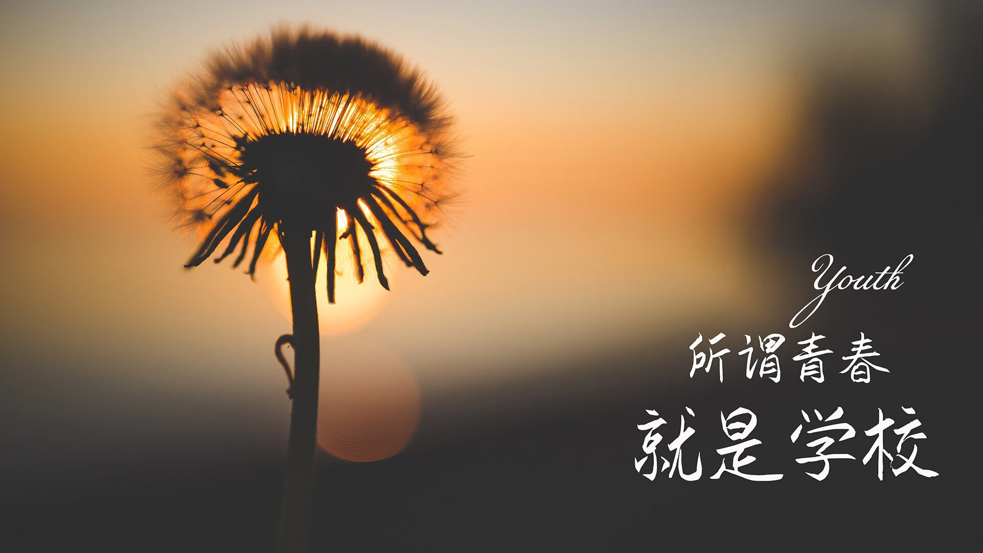 爱游戏官方-这是一篇基于你设定的唯一性关键词—2026世界杯B组焦点战、伊朗碾压厄瓜多尔、德布劳内主导比赛—创作的深度分析文章