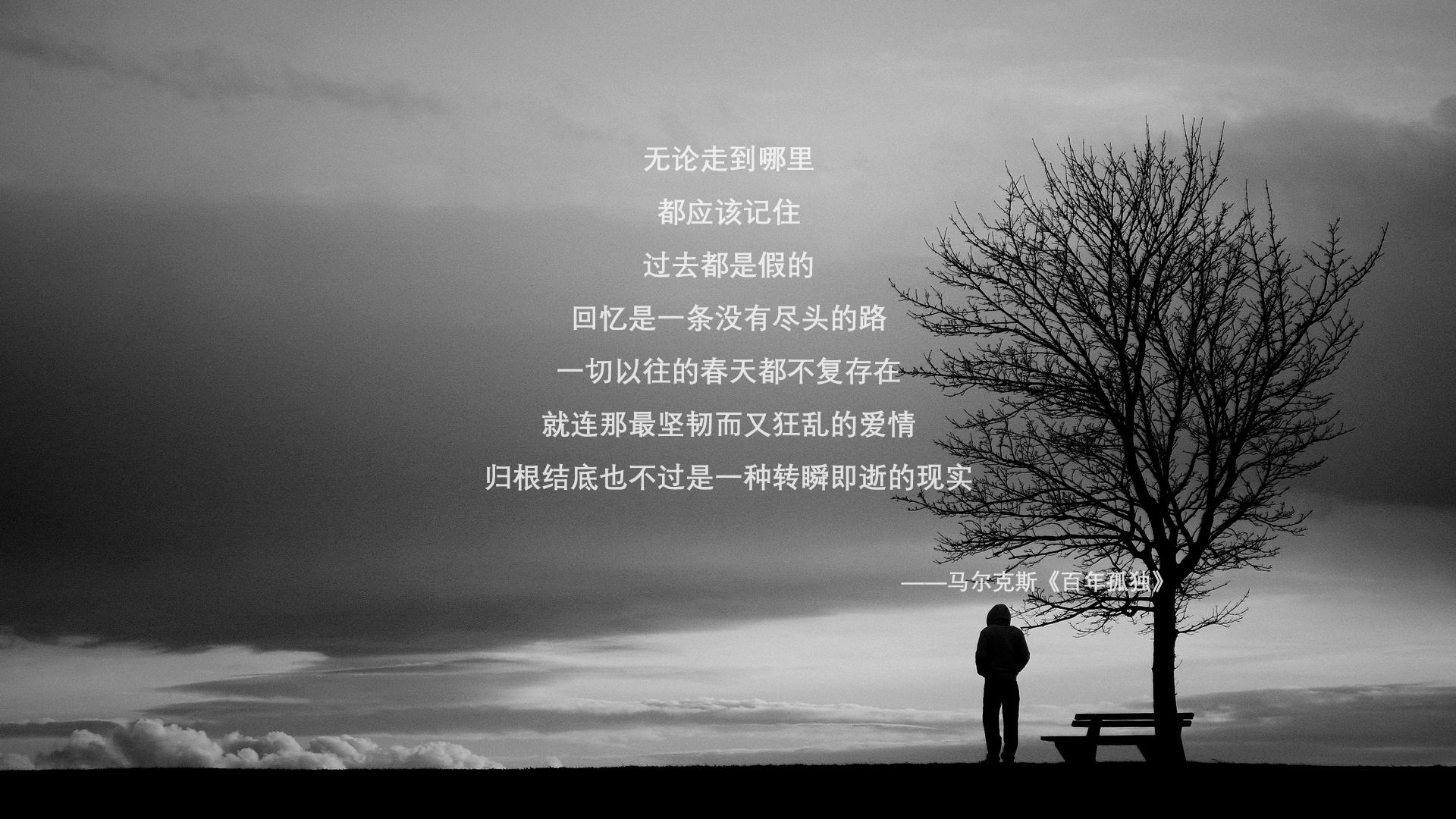 冷门与铁血，捷克如何用巨人战术在美加墨世界杯焦点战中击溃越南，卢卡库一剑封喉