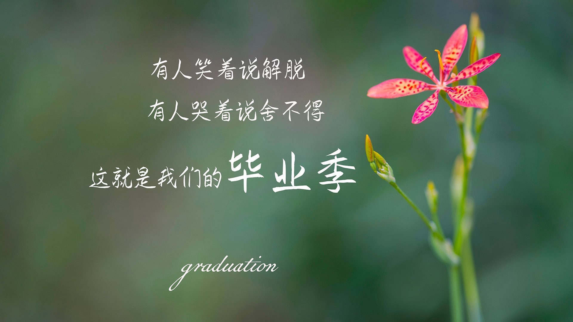 逆转之王,2026世界杯H组焦点战,拉什福德领衔巴西绝地反击,全场压制斯洛伐克