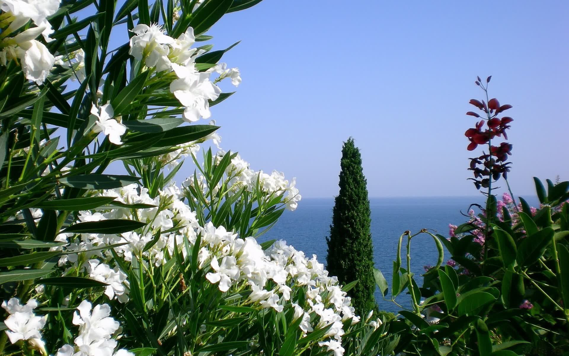 战火中的王权,2026世界杯D组强强对话,葡萄牙险胜厄瓜多尔,B费闪耀全场铸就传奇一夜